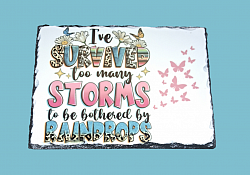 #65. I've survived too many storms.  7.5x5.5